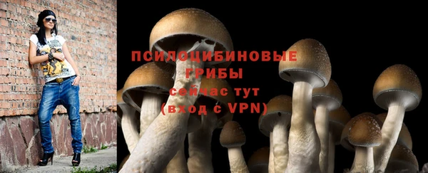 кристаллы Бородино